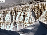 bordure stupende visibili da pochi mesi